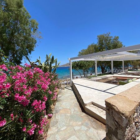 Villa Aristoteles Chalki Town Buitenkant foto