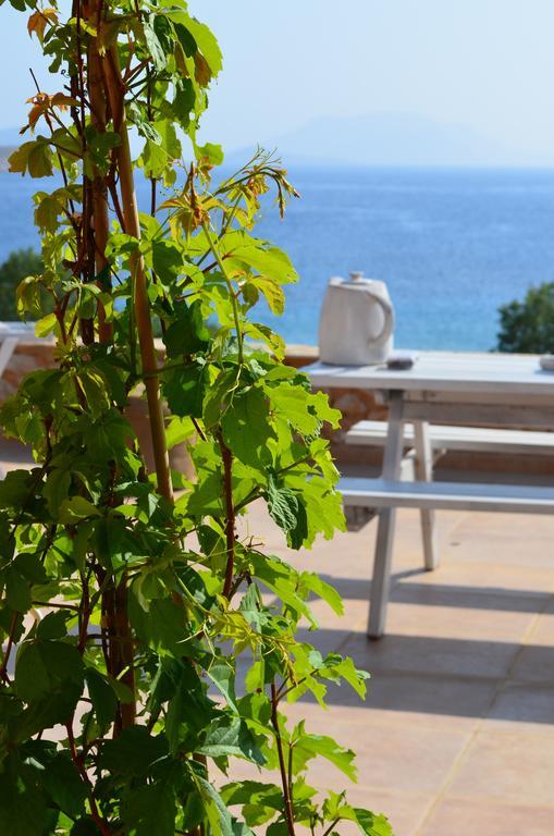 Villa Aristoteles Chalki Town Kamer foto